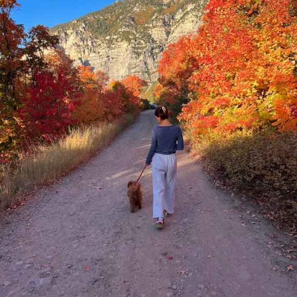 Meet your Posher, Proceso A - Picture 1 of 1